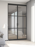 Lofttür Drehtür aus Glas und Aluminium